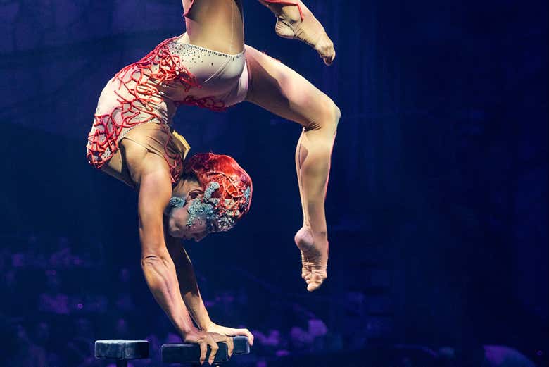 Entradas para Cirque du Soleil JOYÀ + Transporte