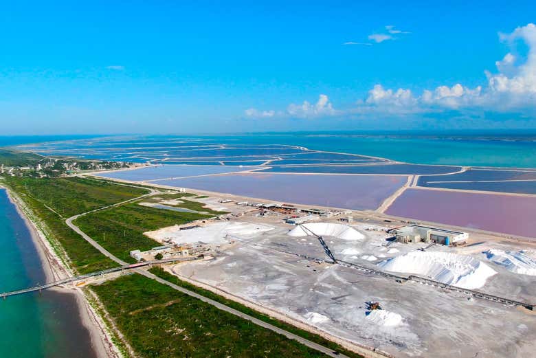 Excursión a Las Coloradas