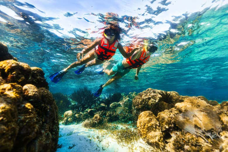 Imagen de Snorkel en Puerto Morelos