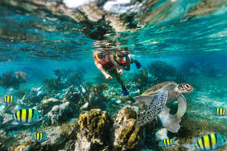Snorkel en Puerto Morelos