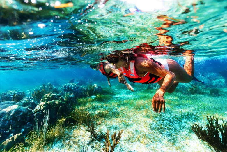 Snorkel en Puerto Morelos