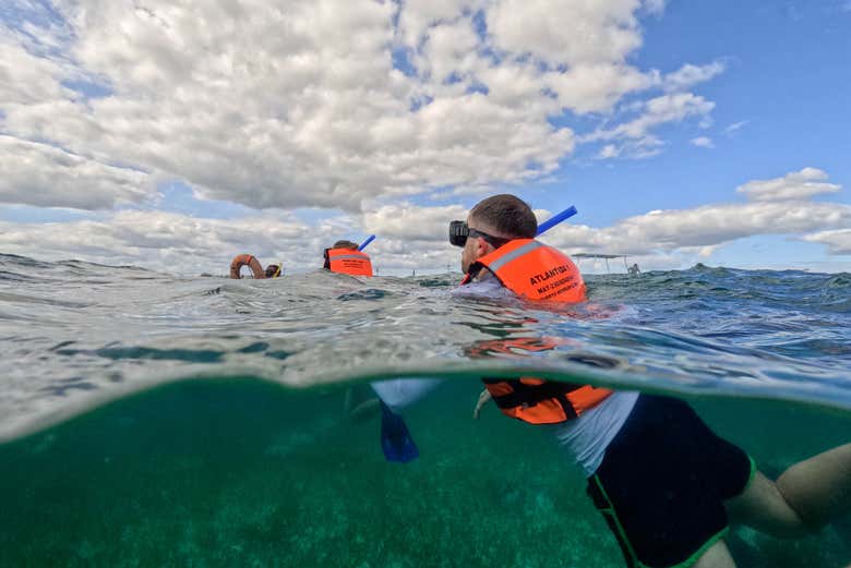 Snorkel en Puerto Morelos