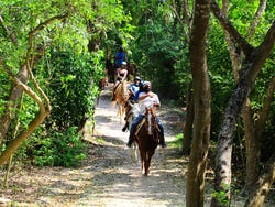 Paseo a caballo por el Rancho Bonanza