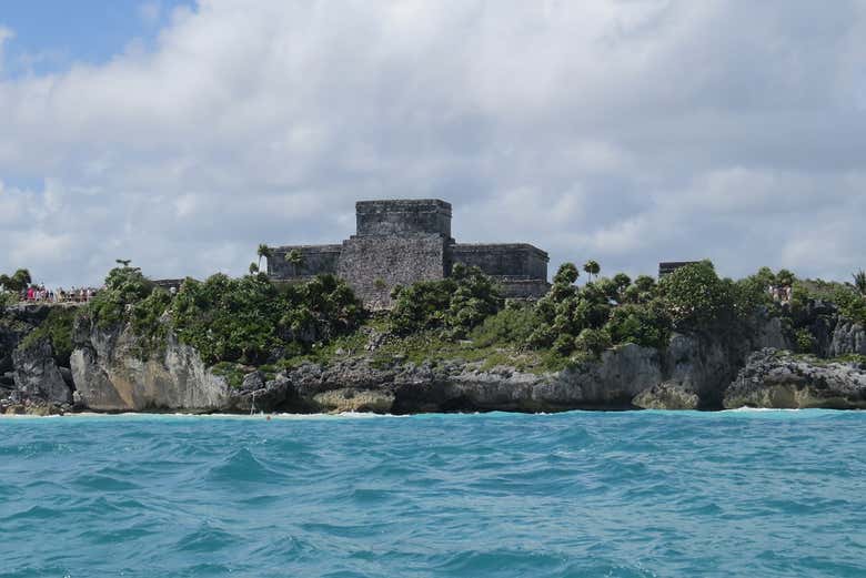 Imagen 8