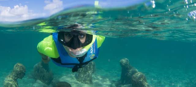 Snorkel no MUSA