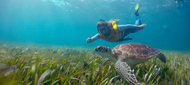 Experiencia privada de snorkel nocturno en Cancún