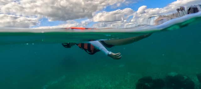 Snorkel en Puerto Morelos