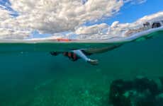 Snorkel em Puerto Morelos