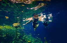 Xenotes Day Trip