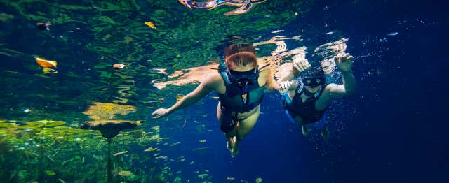 Excursion aux cénotes