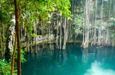 Cenote Yokdzonot Ticket