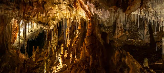 Escursione alle grotte di Coyame