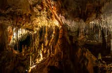 Coyame Caves Excursion