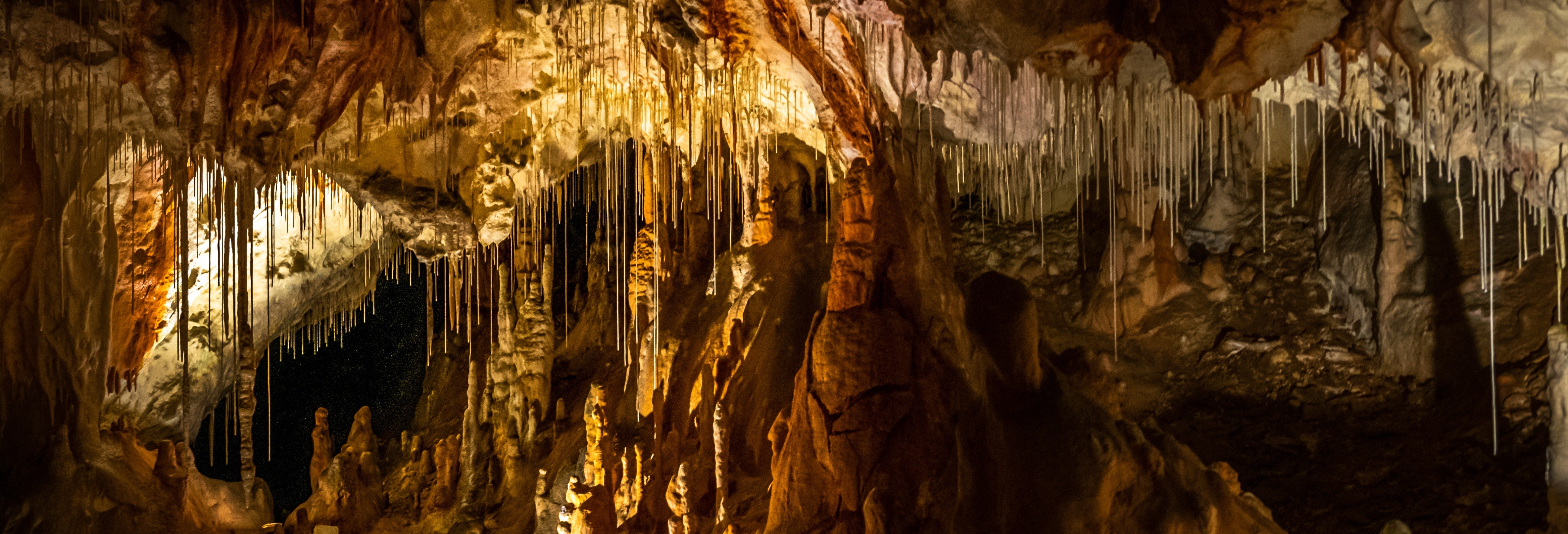 Coyame Caves Excursion