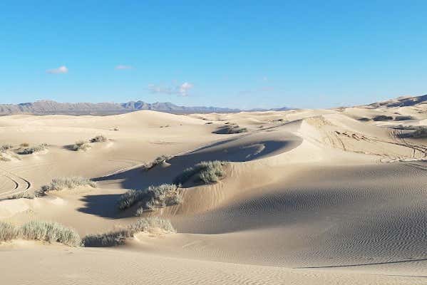 Imagen 7