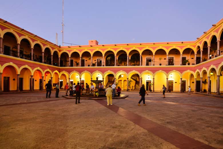 Imagen 6