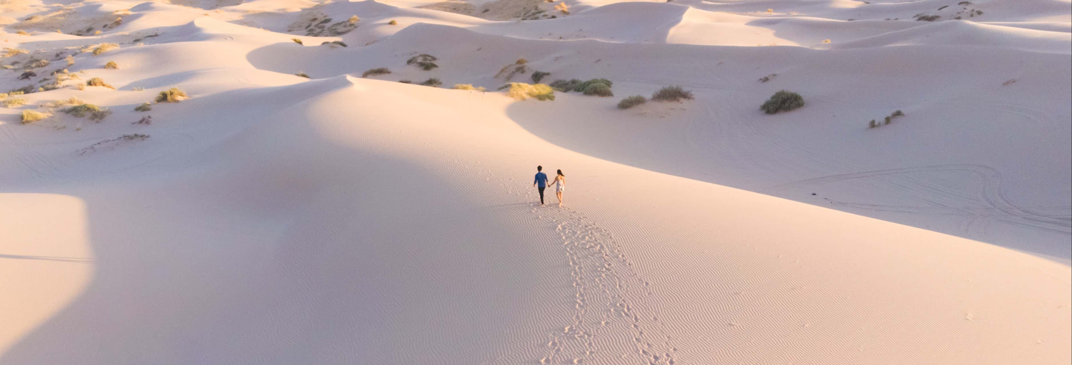 Samalayuca Dunes Sandboarding Tour