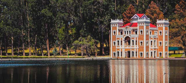 Campi di lavanda, Hacienda Chautla e Val'Quirico 