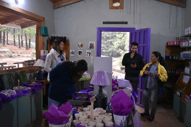 Imagen 6