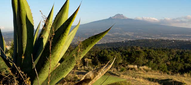 Trekking nel Parco Nazionale La Malinche