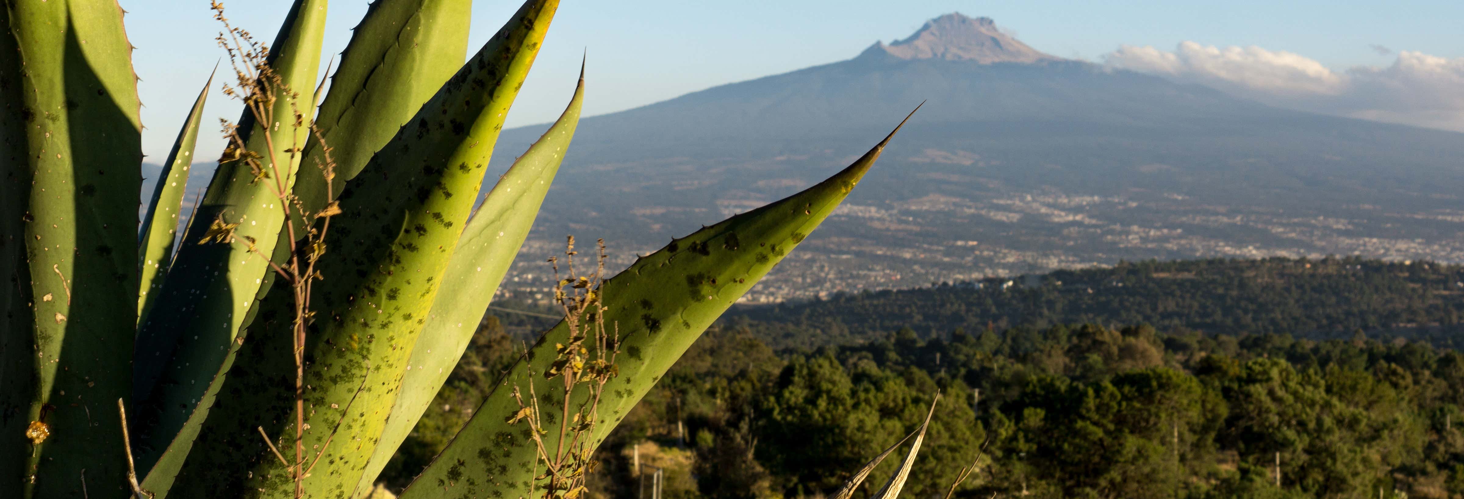 La Malinche National Park Trek