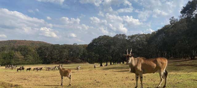 Excursion au bioparc Estrella