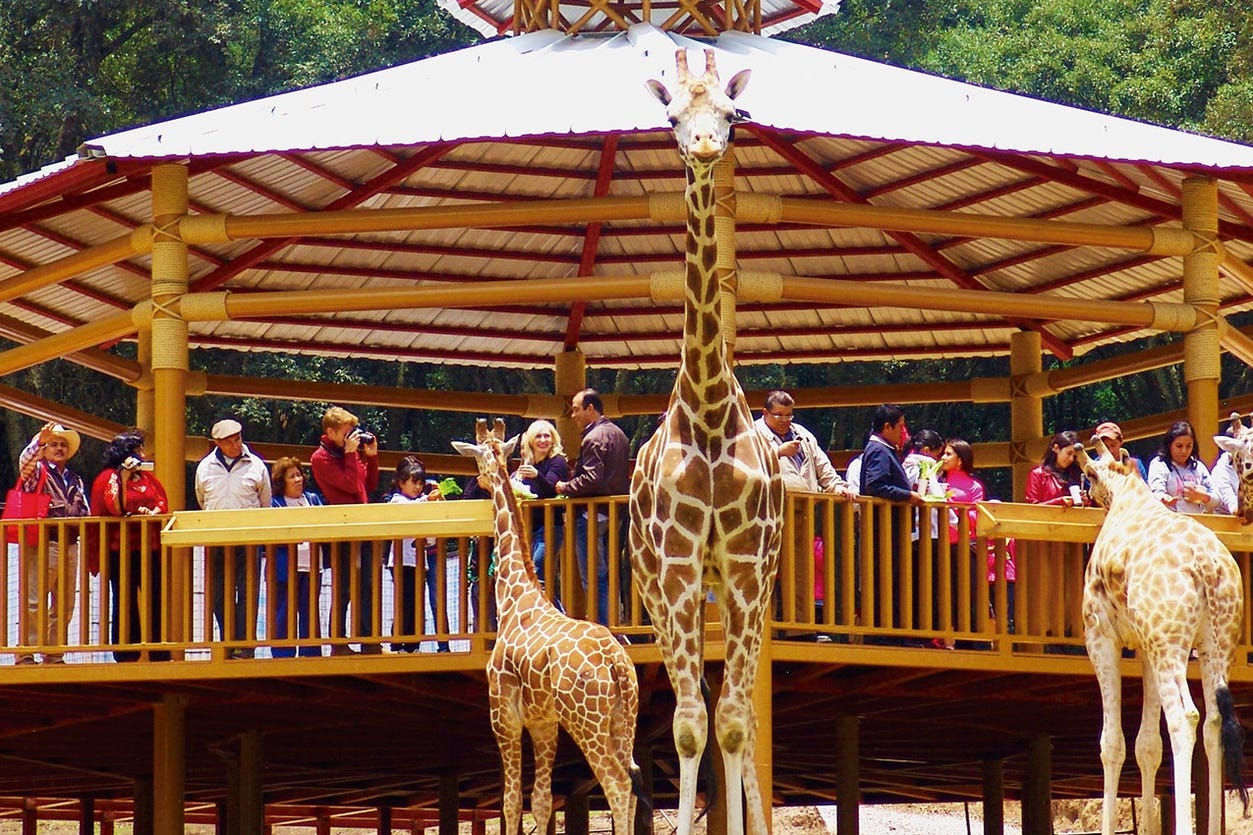 Excursión al Bioparque Estrella