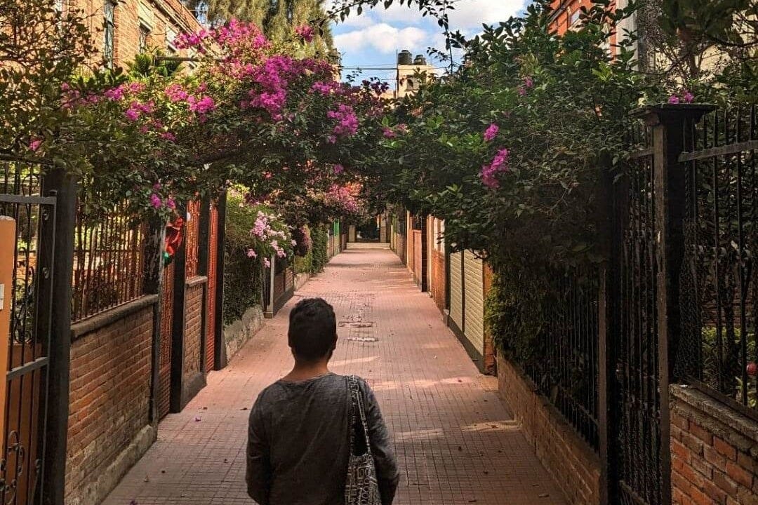 Free tour por Santa María la Ribera