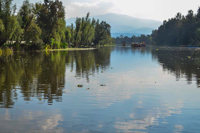 Imagen 8