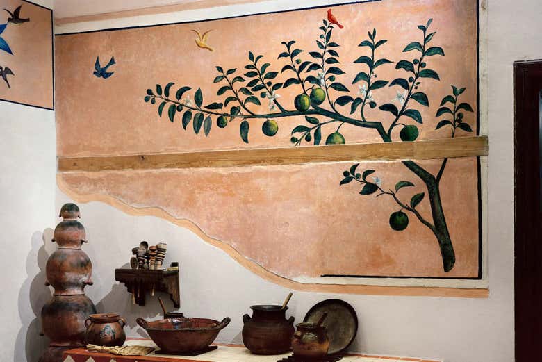 Tour por Xochimilco, Coyoacán y la Casa Roja de Frida Kahlo