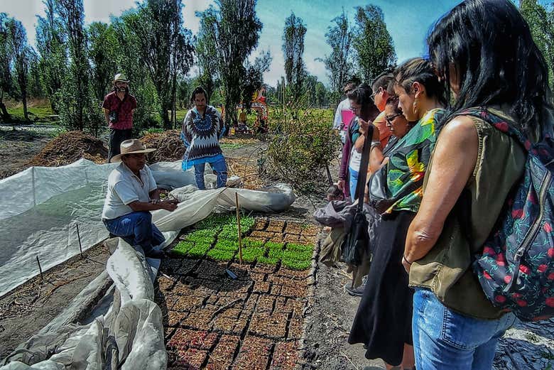Imagen de Tour por Xochimilco + Paseo en canoa prehispánica