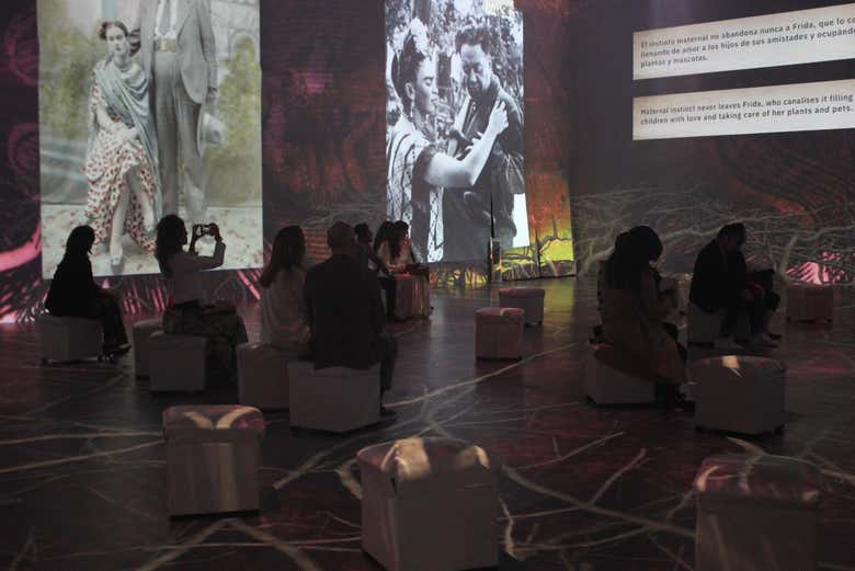 Entrada a la exposición inmersiva de Frida Kahlo: La vida de un icono