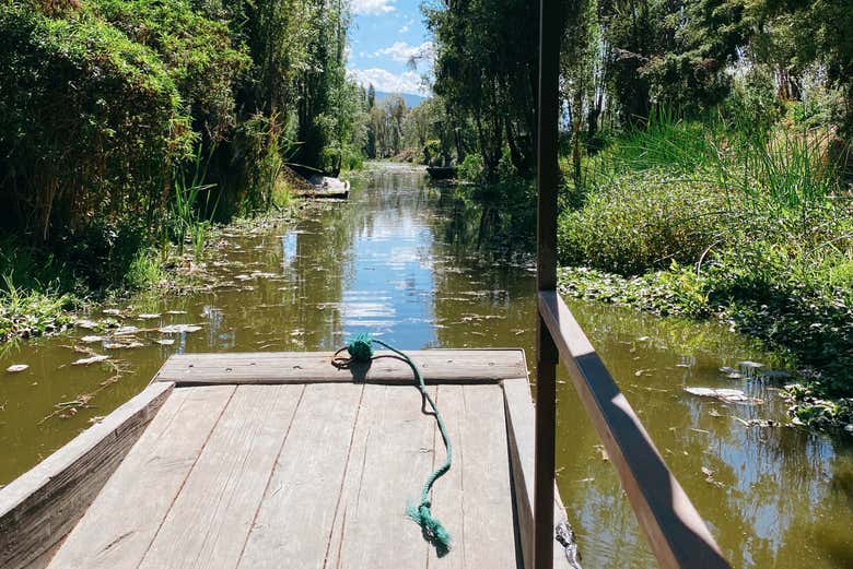 Tour por Xochimilco + Paseo en canoa prehispánica