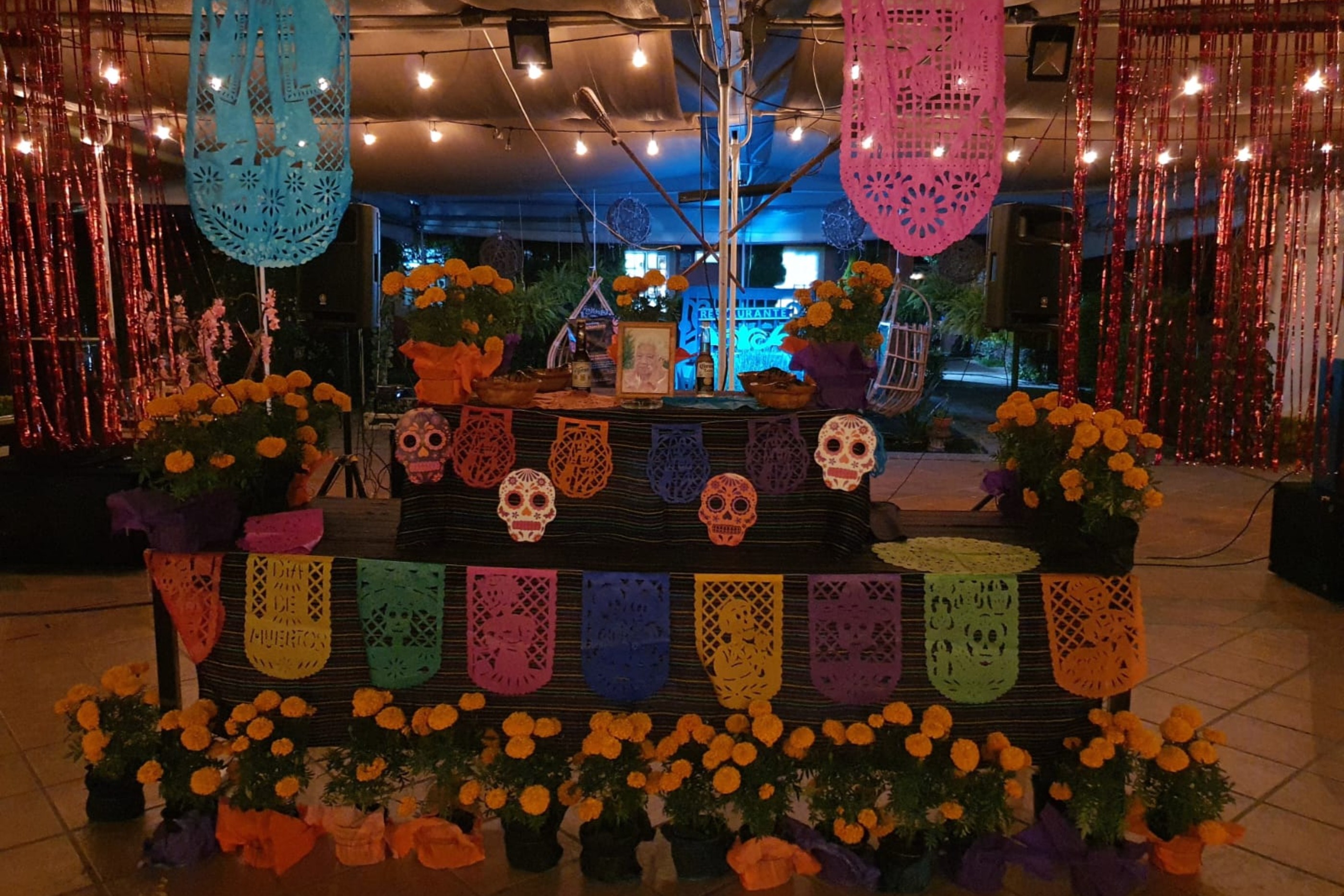 Tour del Día de Muertos por Xochimilco con cena