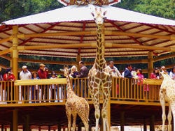 Excursión al Bioparque Estrella