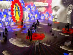 Entrada a la exposición inmersiva de Frida Kahlo: La vida de un icono