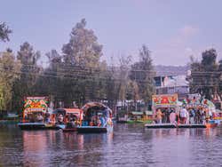 Tour por Coyoacán y Xochimilco + Paseo en trajinera