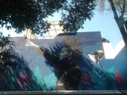 Visita guiada por Santa María la Ribera + Kiosco Morisco