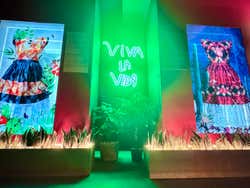 Entrada a la exposición inmersiva de Frida Kahlo: La vida de un icono