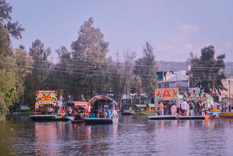 Tour por Coyoacán y Xochimilco