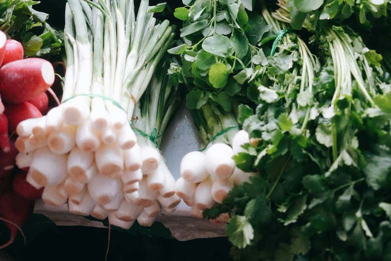 Imagen de Tour por Xochimilco + Paseo en canoa prehispánica