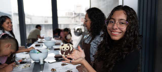 Taller de chocolate en el Choco Story Zócalo