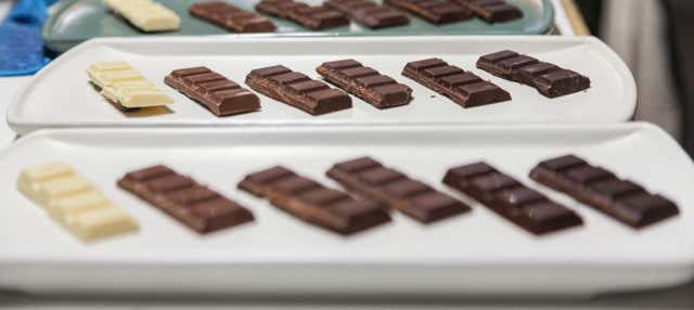 Taller de chocolate en Ciudad de México