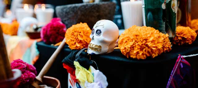 Tour del Día de Muertos por Coyoacán