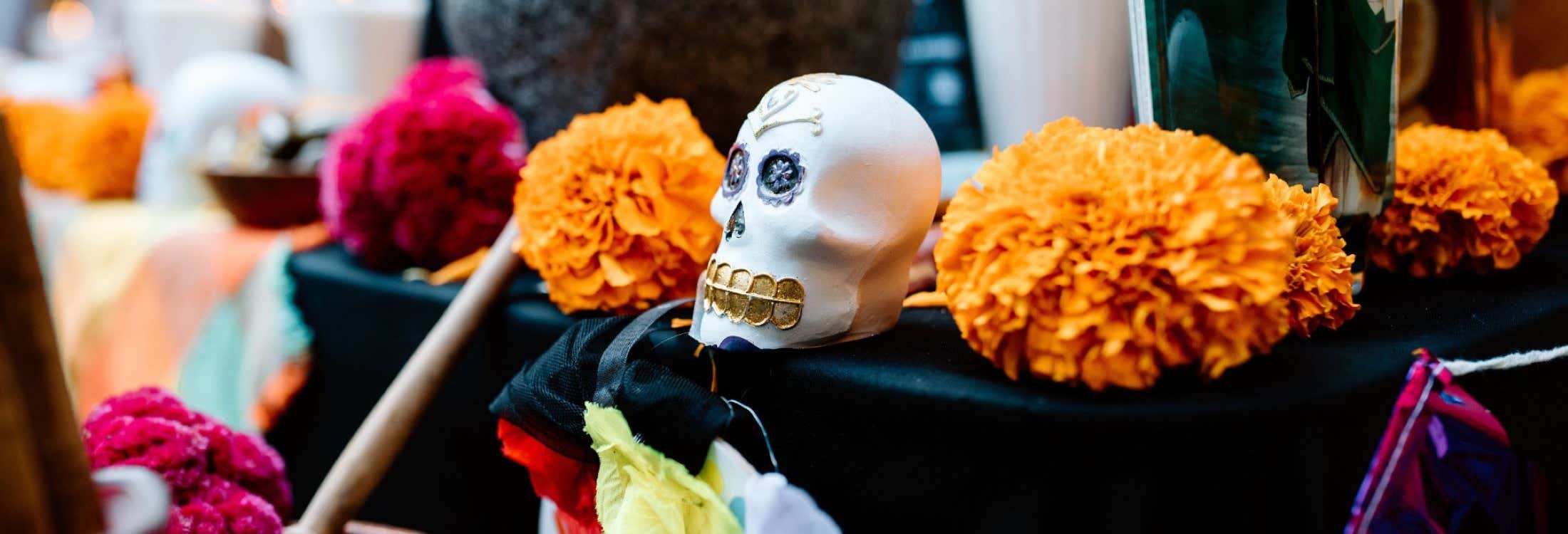 Tour del Día de Muertos por Coyoacán