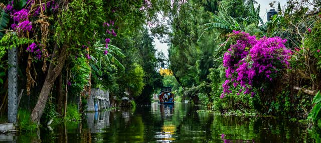 Tour por los barrios de Xochimilco y Coyoacán en grupo reducido