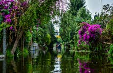 Tour pelos bairros de Xochimilco e Coyoacán em grupo reduzido