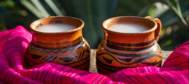 Visite sur le thème du pulque, de la tequila et du mezcal + Marché artisanal