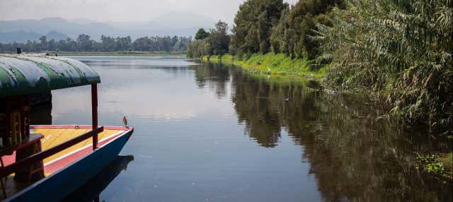 Tour di Xochimilco + Giro in canoa tradizionale