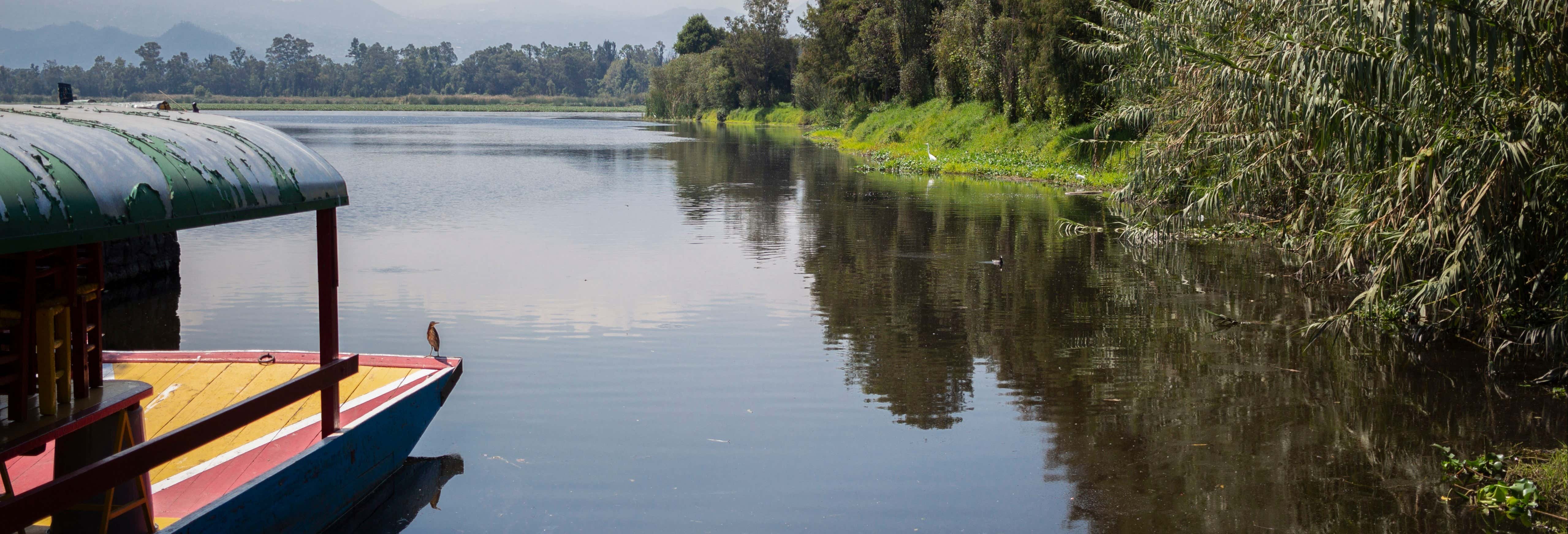 Imagen de Tour por Xochimilco + Paseo en canoa prehispánica